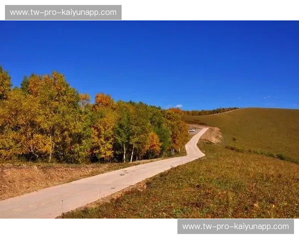 地中海雄鹰与东欧白桦林的对决：阿尔巴尼亚vs白俄罗斯，一场关于灵魂与激情的深度碰撞